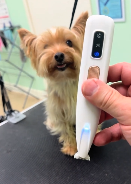 Electric Pet Hair Trimmer